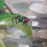 Black widow detail