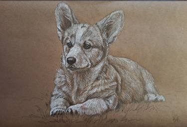 Print of Fine Art Animal Drawings by Alona Vakhmistrova