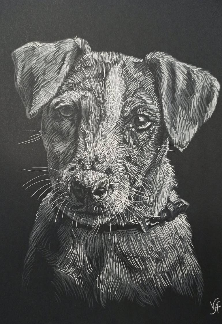 Jack Russell Terrier pencil and pen on black paper, original gift, office  interior, home decor, animal Drawing by Alona Vakhmistrova