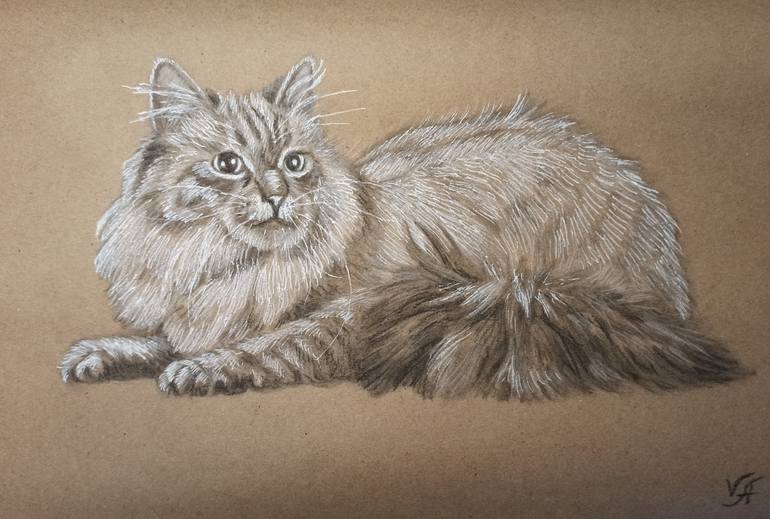 Siberian cat - pencil, pen and charcoal on craft paper, original gift,  office interior, home decor, animal Drawing Drawing by Alona Vakhmistrova |  Saatchi Art