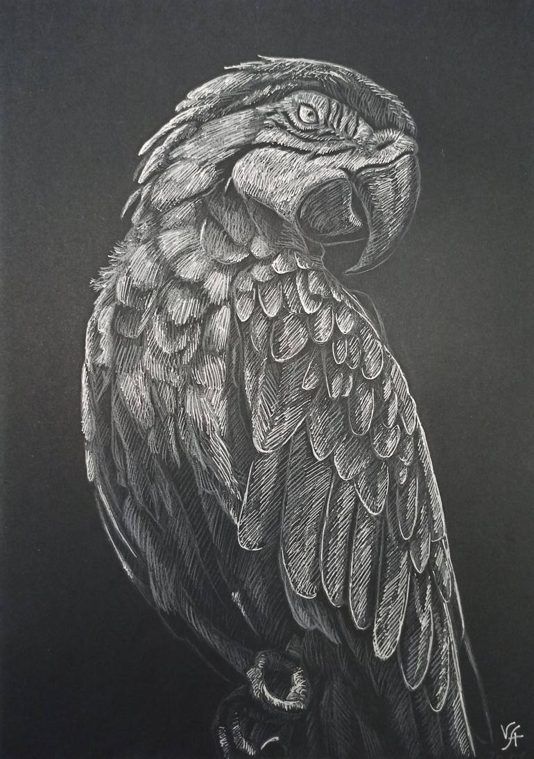 Drawing on black paper store with white pencil