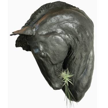 Original Horse Sculpture by Cathleen Klibanoff