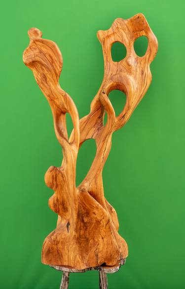 Olive wood (1200 y.o.) - Beauty and the beast thumb