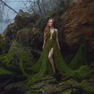 Collection DRYAD