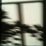 Collection Photography telling