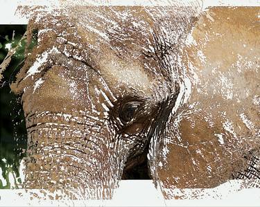 ELEPHANT ABSTRACTION NO. 3 - Limited Edition of 25 thumb