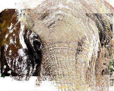 ELEPHANT ABSTRACTION NO. 1 - Limited Edition of 25 thumb