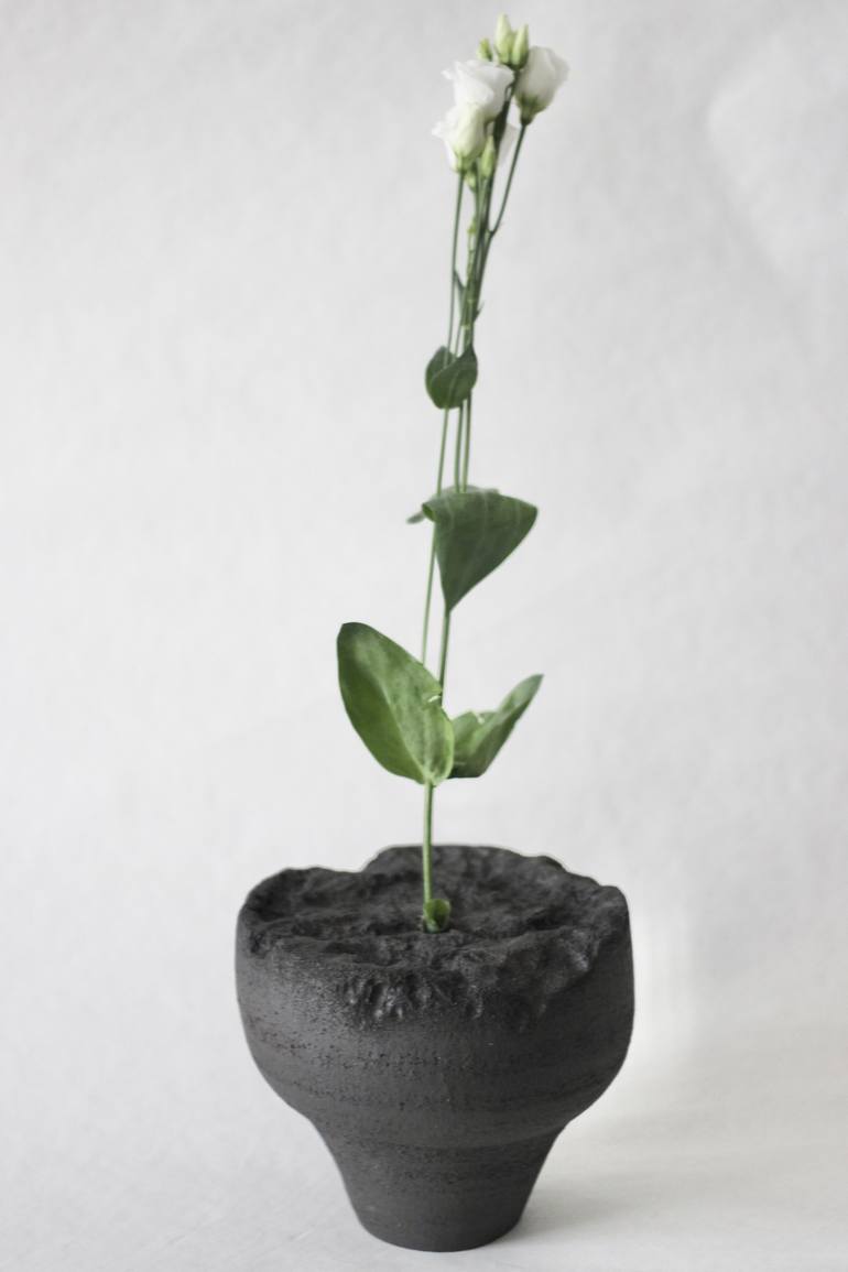 Original Minimalism Botanic Sculpture by Evgeniia Kazarezova