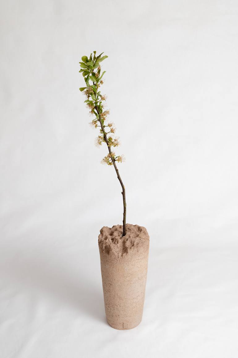 Original Minimalism Botanic Sculpture by Evgeniia Kazarezova