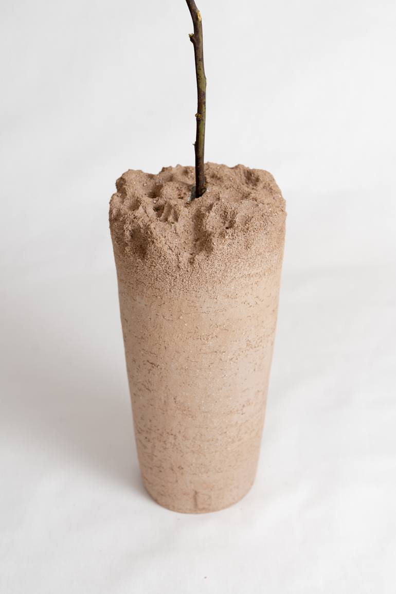 Original Minimalism Botanic Sculpture by Evgeniia Kazarezova