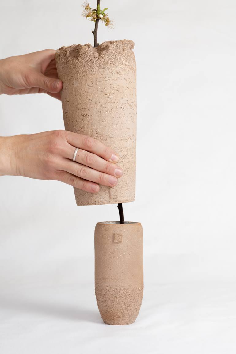 Original Minimalism Botanic Sculpture by Evgeniia Kazarezova