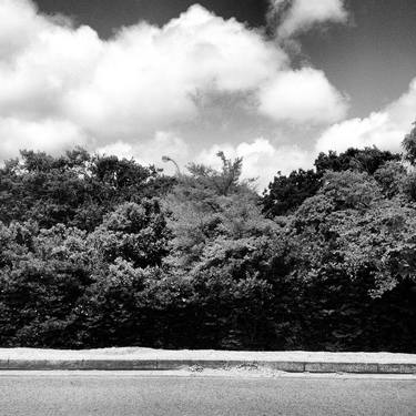 Treeline with Street Lamp - Limited Edition of 100 thumb