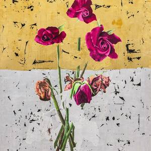 Collection Country Spotlight: Italy