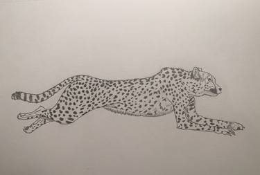 Cheetah thumb