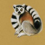 lemur Painting by Yulianna Kirillova