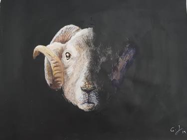 Original Animal Painting by Gwyn Jones