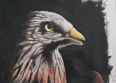 Original Fine Art Animal Paintings by Gwyn Jones