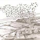 Flock over Crief by Phil  Reynolds