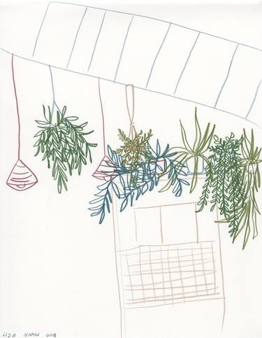 Print of Botanic Drawings by Liza Isakov
