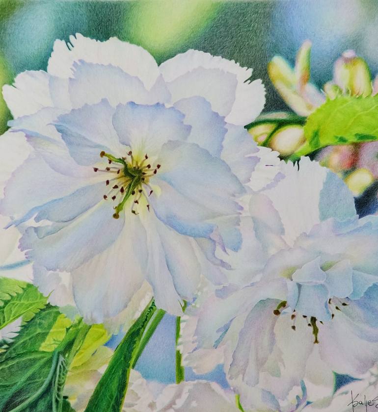 Original Realism Floral Drawing by Katya Santoro