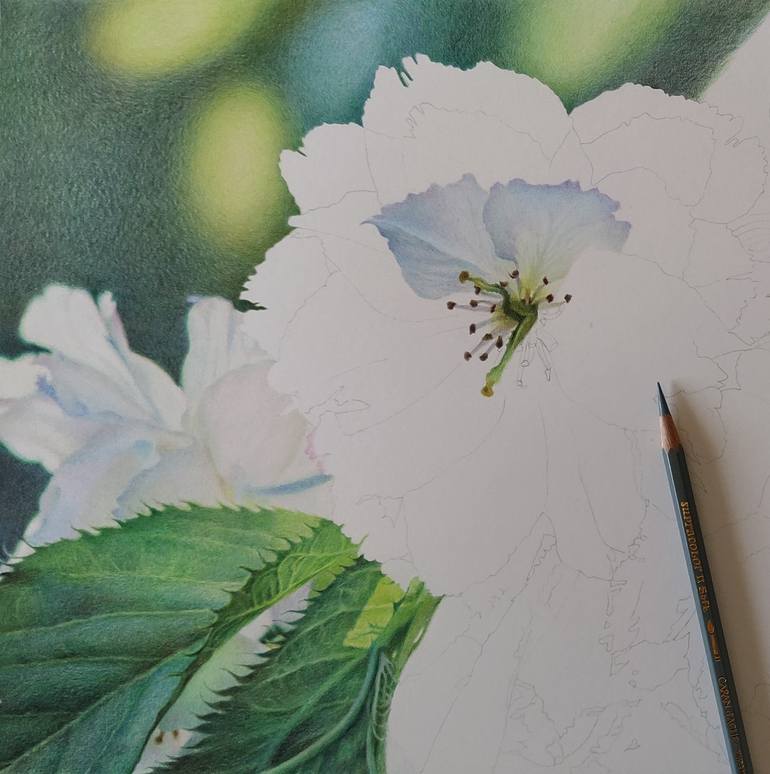 Original Realism Floral Drawing by Katya Santoro
