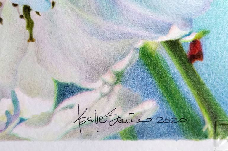Original Realism Floral Drawing by Katya Santoro