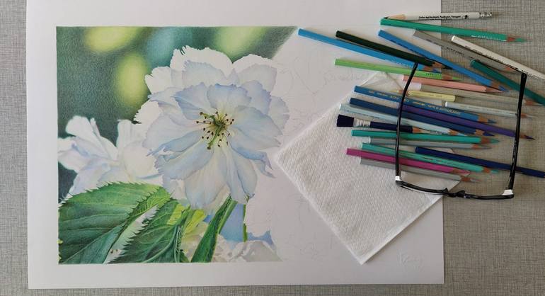 Original Realism Floral Drawing by Katya Santoro