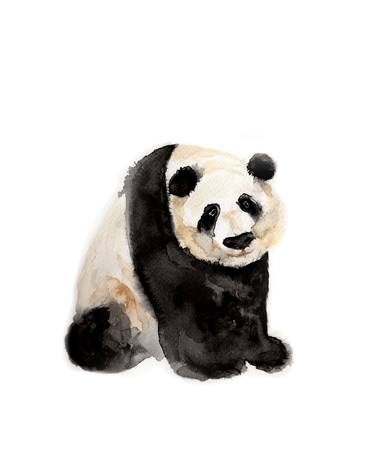 Chi - Panda Watercolour by Rebecca Hyde of Wild Earth Art thumb