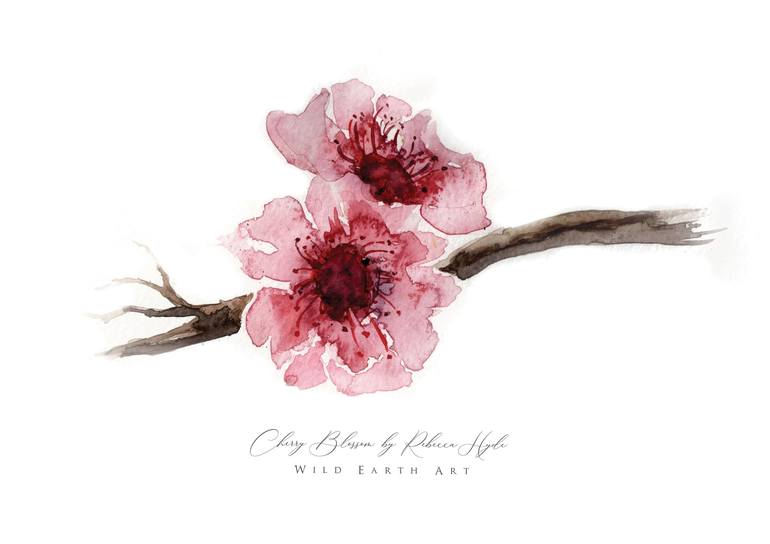 Cherry Blossom Watercolour by Rebecca Hyde of Wild Earth Art