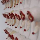 Collection installation