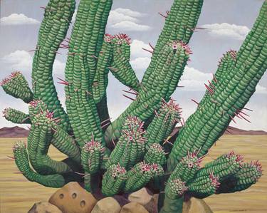 Original Photorealism Botanic Paintings by dorothy churchill-johnson