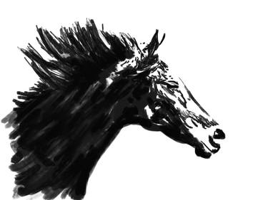 Original Figurative Horse Drawings by Alejandro Mos Riera