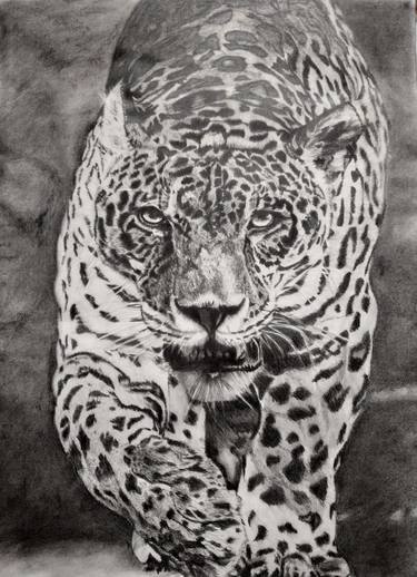 Print of Art Deco Animal Drawings by Nidhi Saxena