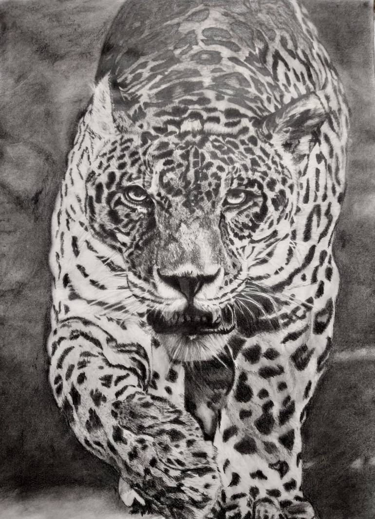 Panther Drawing by Nidhi Saxena | Saatchi Art