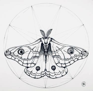 Saatchi Art Artist Anashrita Henckel; Drawings, “Mothometry” #art