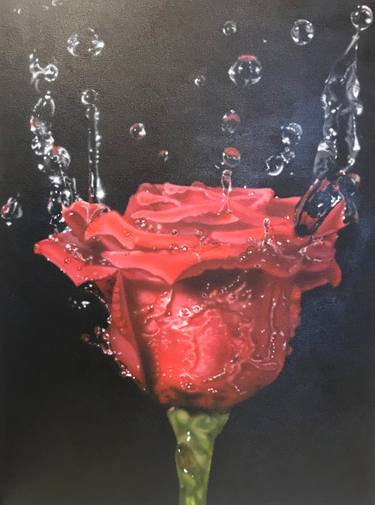 Red Rose in Spray of Water thumb