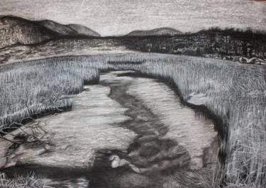 Original Landscape Drawing by Meredith Merwin