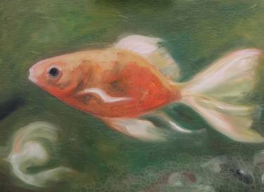 Print of Impressionism Fish Paintings by Sue Flask