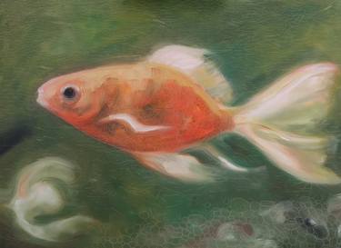 Print of Fish Paintings by Sue Flask