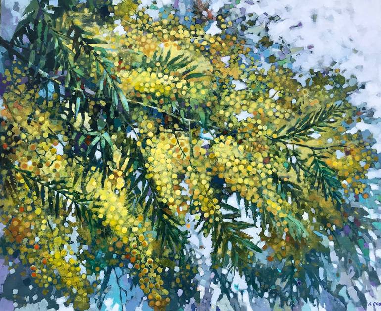 Mimosa Flower Blossom On Wooden BackgroundGreeting Card With Heart Stock Photo, Picture And Royalty Free ImageImage 73953814.