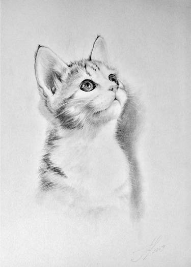 Print of Cats Drawings by Tetyana Marchenko
