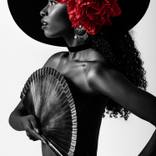 Flamenco by Mikolaj Krawczunas