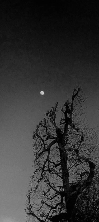 Dedicated to the moon, series photographs nr.3 thumb