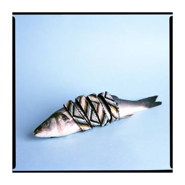 Original Fish Photography by Tomas Terekas
