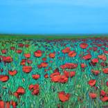 Poppy field by Anara Abzhanova