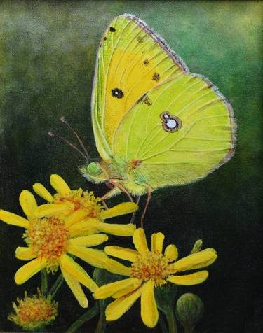 Original Nature Paintings by Dilrukshi Chandrika