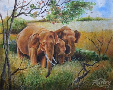 Print of Animal Paintings by Dilrukshi Chandrika