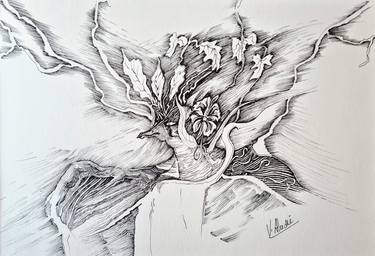 Original Nature Drawings by valerie Abadie