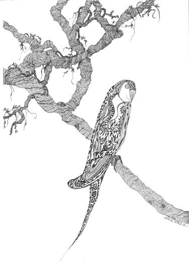 Print of Nature Drawings by valerie Abadie