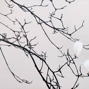 Collection Art for Fresh Starts